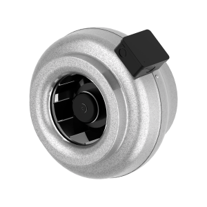 7001171_CK_250_A1_EC_y1.png